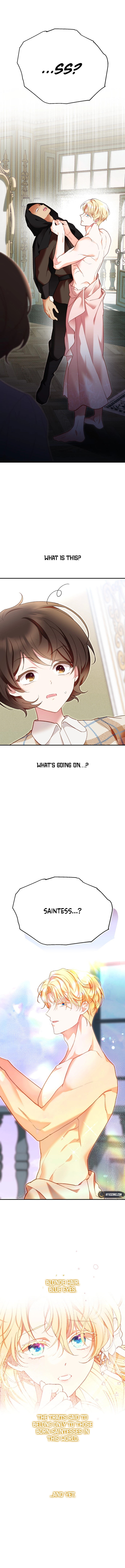 Protect the Fake Sain Chapter 1 Page 25